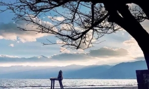 面朝洱海 做一场风花雪月的梦