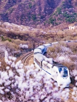 中国最美的6条铁路　路上就是风景
