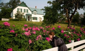 加拿大私藏度假地 藏着四个你想要的秘密花园