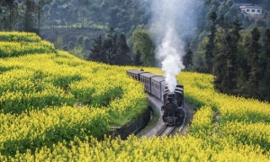 一到3月就美炸的“川西小江南” 还能坐蒸汽火车穿越花海