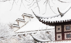 一下雪 苏州就成了姑苏